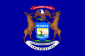 Michigan state flag
